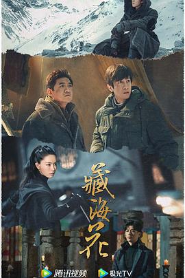 青青草大香焦在线综合视频 - IFN海报